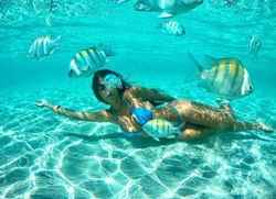 passeio maragogi piscinas naturais maragogi