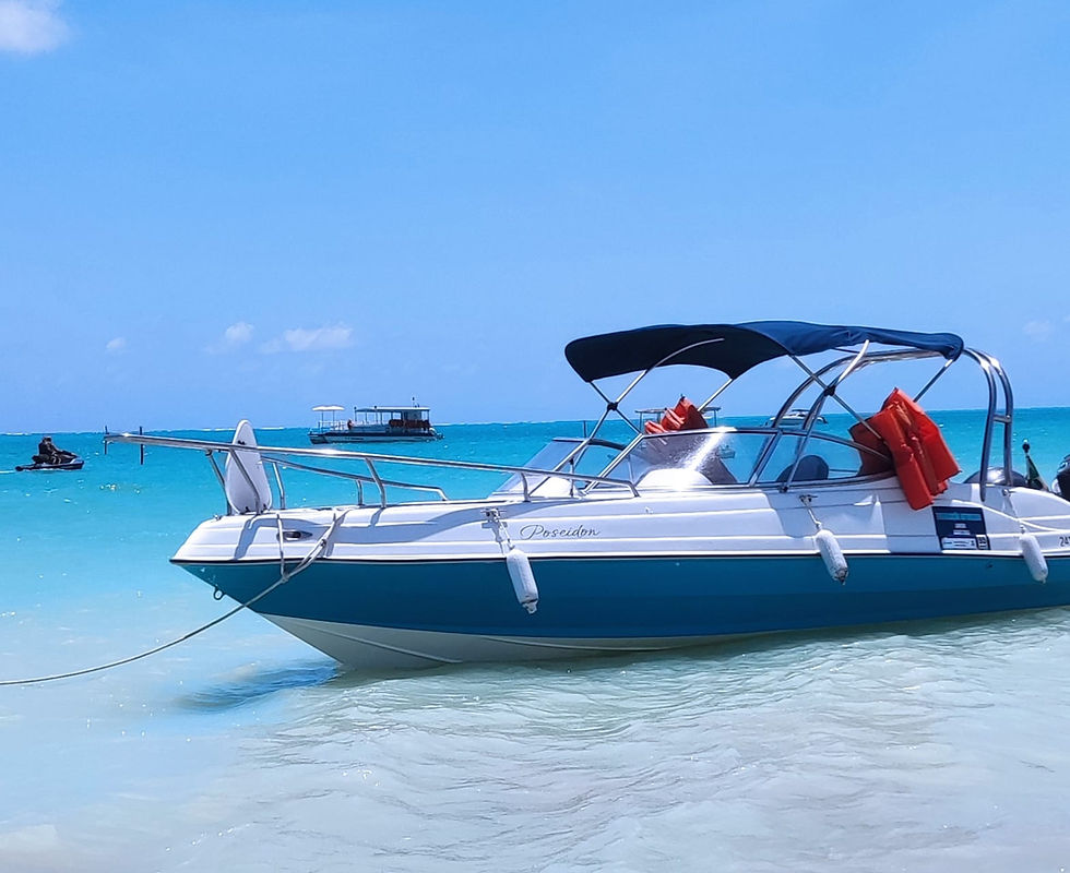 passeio de lancha maragogi