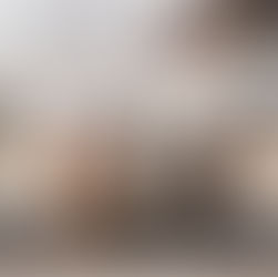 THE GUAPOS DE PRESENTARÁ POR PRIMERA VEZ EN GUADALAJARA.