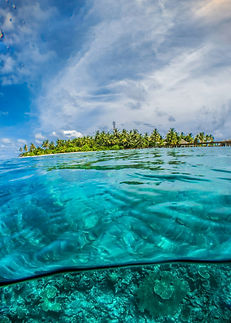 fiji.jpg
