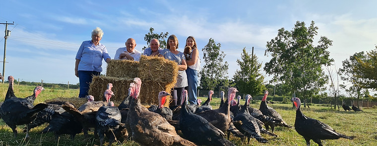 The Crosse family outside in a turkey field with turkeys
