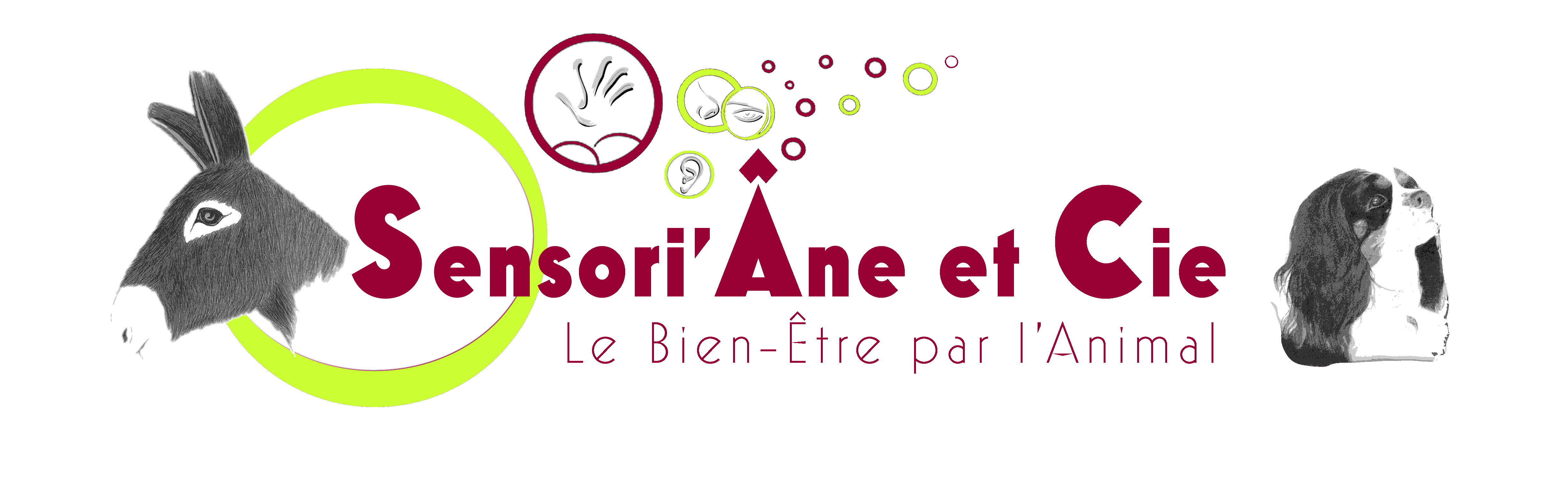 logo Sensoriane.gif