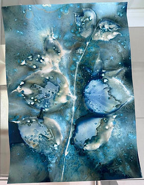 Cyanotype 101 Student Work Olive Gaughan