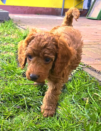 IMG-20250304-WA0029_edited_edited.jpg