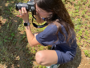 Séances photo dans les vignes