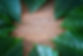 AdobeStock_301034043.jpeg