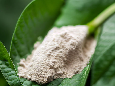 White Sumatra
