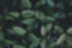 AdobeStock_522161772.jpeg