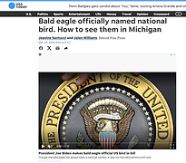 Screenshot (552).png