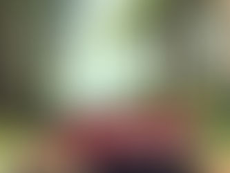 It’s almost delivery time.