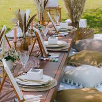 Tuscaloosa Glamping Luxury Camping picnic vibes Tuscaloosa, Al