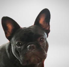 Margeaux 225x220.png