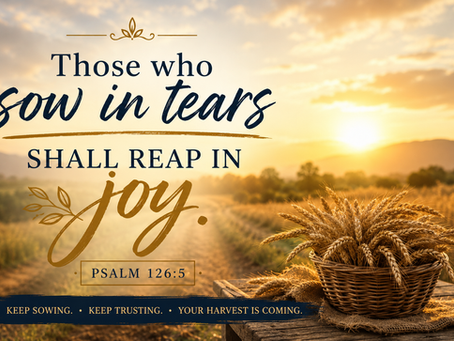 The Holy Spirit's Meal Plan: Feeding Your Spirit While You Wait on God's Timing