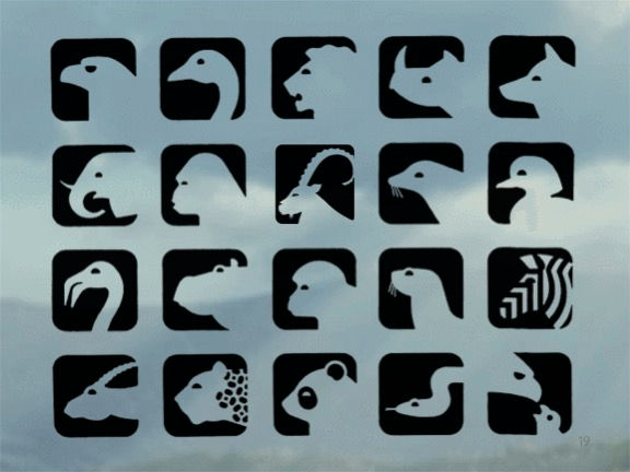 Zoo Symboloform Process Book 19.jpg