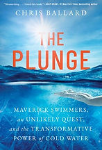 the plunge.jpg
