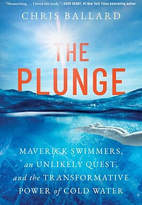 the plunge.jpg