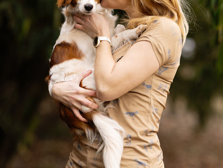 Klubová trička k příležitosti 100 let od založení Klubu chovatelů loveckých slídičů.