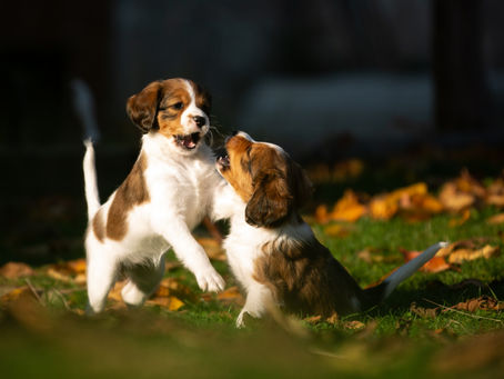 Uchovnění po dobu Koronaviru