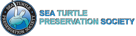 Sea Turtle Preservation.gif