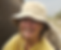 Judy Witheford