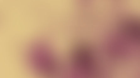 A Kiss from Rose | Whelp