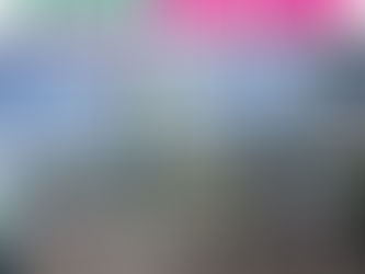 EXPOSITION GALERIE NEUVE