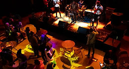 plumes d'afrique.jpg