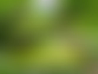 Les sorties du mercredi et du jeudi du pôle jeunesse