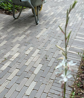 tuinen leneer opritten en terrassen