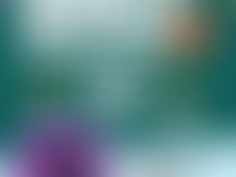 teal background and purple and white text. Birthday Specials for TACOcentric Aug 1-2, 2026