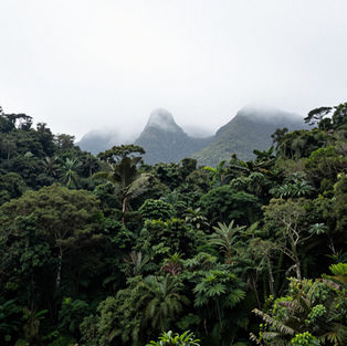 O mito da natureza intocada: A história humana por trás dos Mananciais da Serra