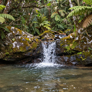 A Origem das águas de Curitiba: A escolha dos Mananciais da Serra no Século XIX