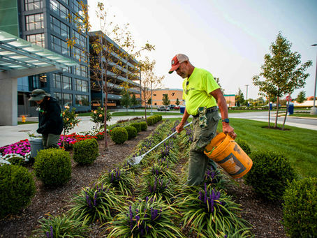 Curb Appeal: A Key Investment for Commercial Office Buildings
