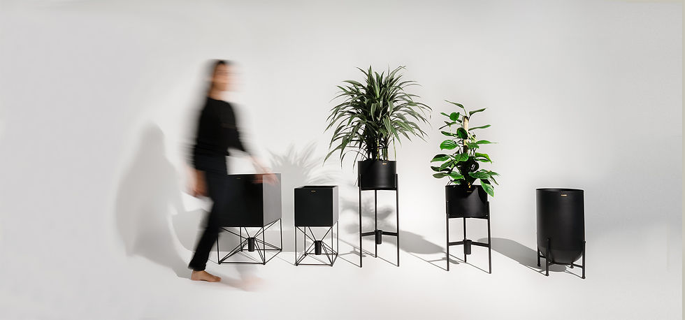 head_planters2.jpg