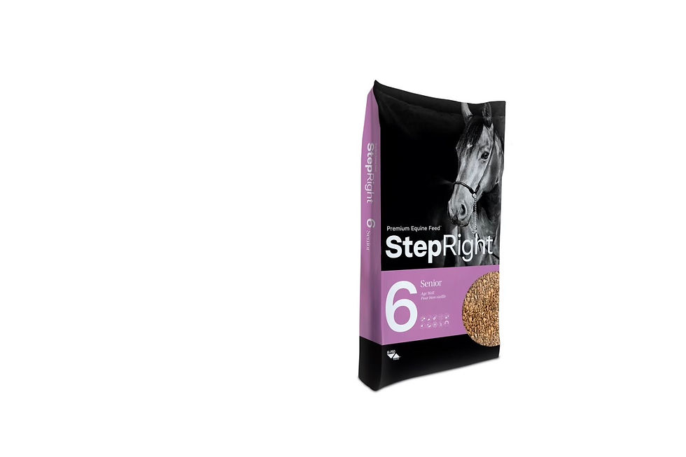 Step Six