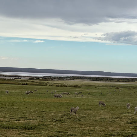 Zweite Station: Peninsula de Valdés - Start mit Schwierigkeiten