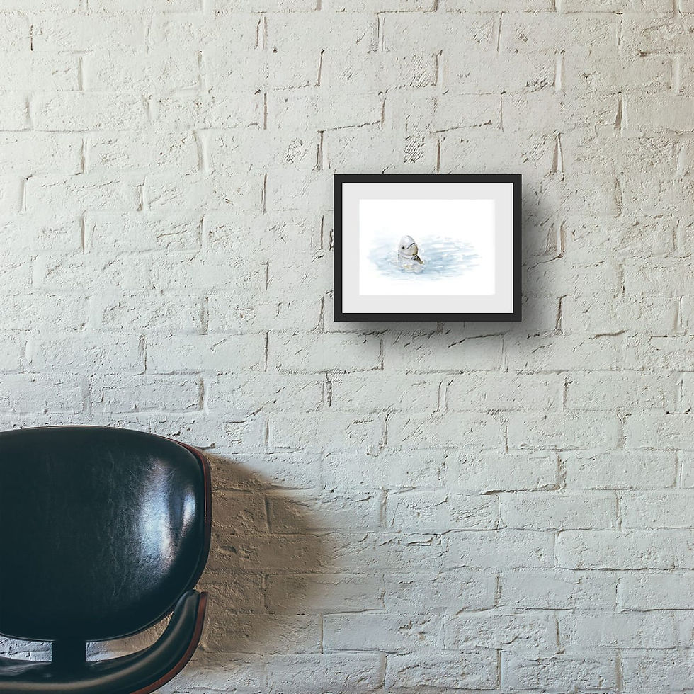 Thumbnail: Marine Muse - Snubfin Dolphin