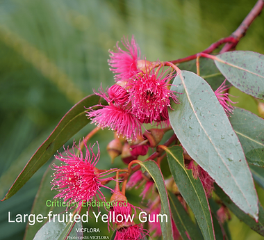 2021 (5)-min (2).png