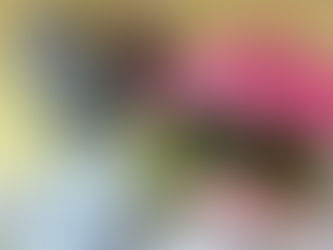 פרחים לשבת שלום