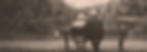 Senior couple sitting on a park bench by a lake
