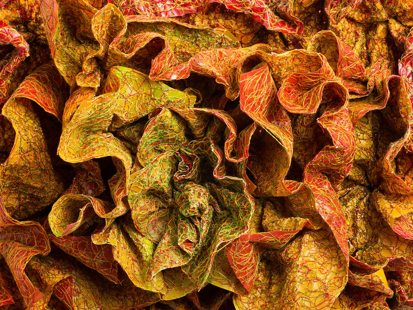 Mazal Carmon, untitled detail