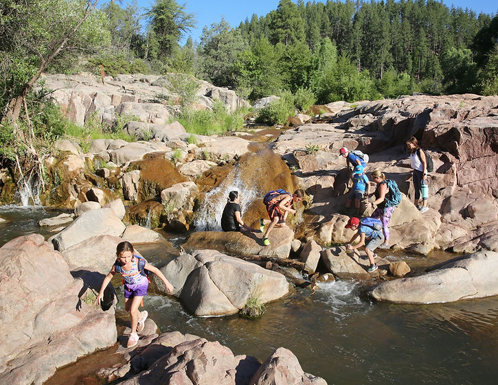 Waterwheel swiming .jpg
