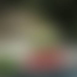 Championnat de France de la Montagne: Marc PERNOT à nouveau champion de France SPORT