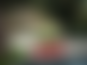 Championnat de France de la Montagne: Marc PERNOT à nouveau champion de France SPORT