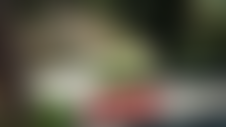 Championnat de France de la Montagne: Marc PERNOT à nouveau champion de France SPORT