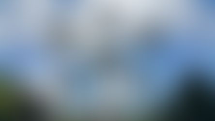 Agence Référencement SEO Belgique