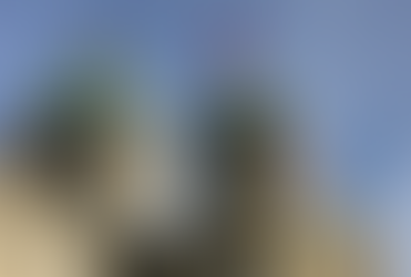 Swiss Federal Council Adopts CARF