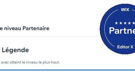 Agence Partenaire WIX Legend