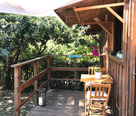 Séjours en bord de mer à Montalivet : location de chalets cosy, gîtes de charme et chambres d'hôtes entre forêt du Médoc et o