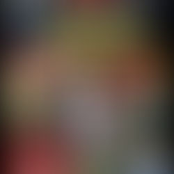 HISTORIC DAYS 2026 : deux jours de passion automobile sur le circuit de Fontenay-le-Comte